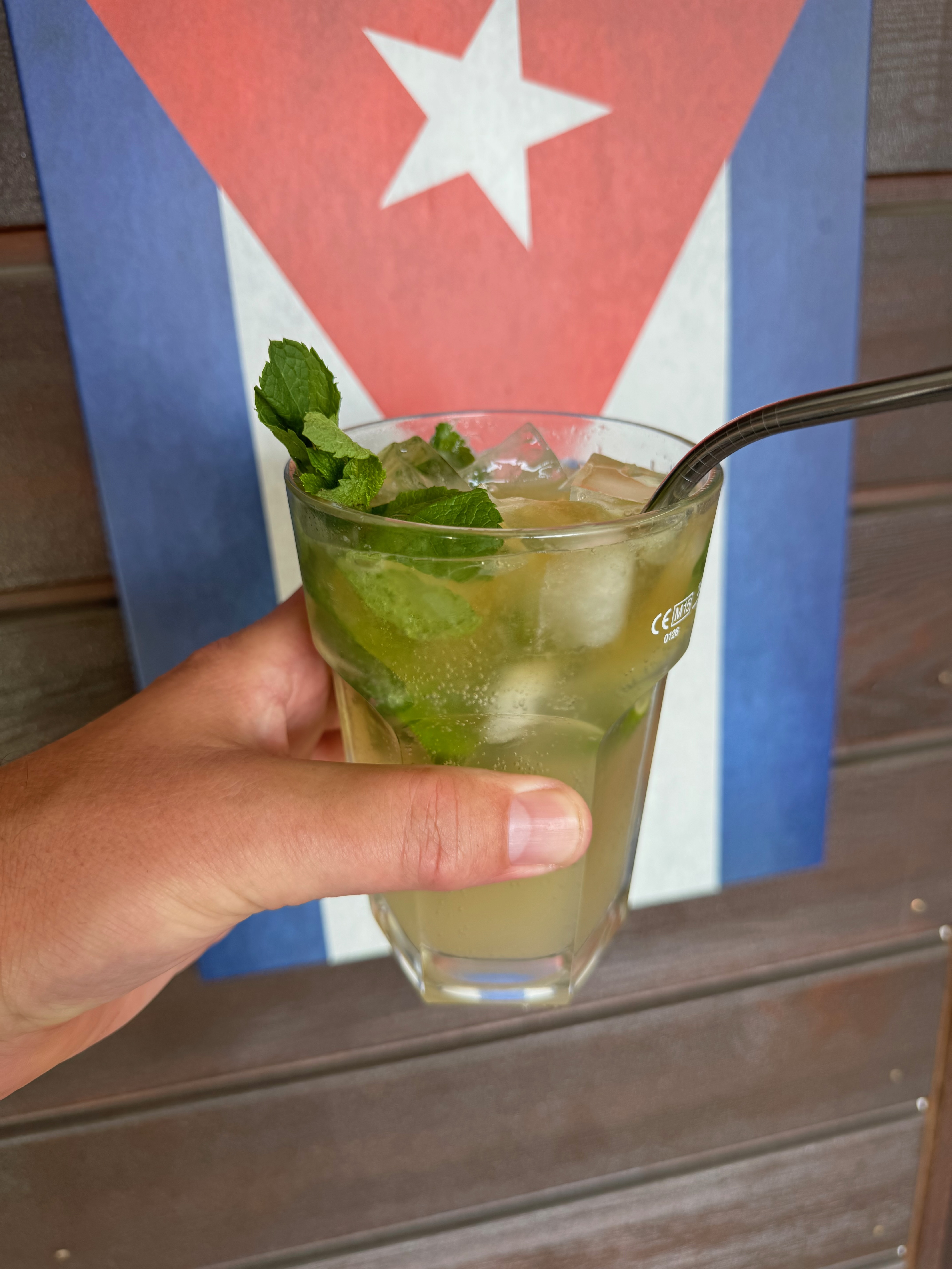 Lange mojito met munt en limoen in helder daglicht